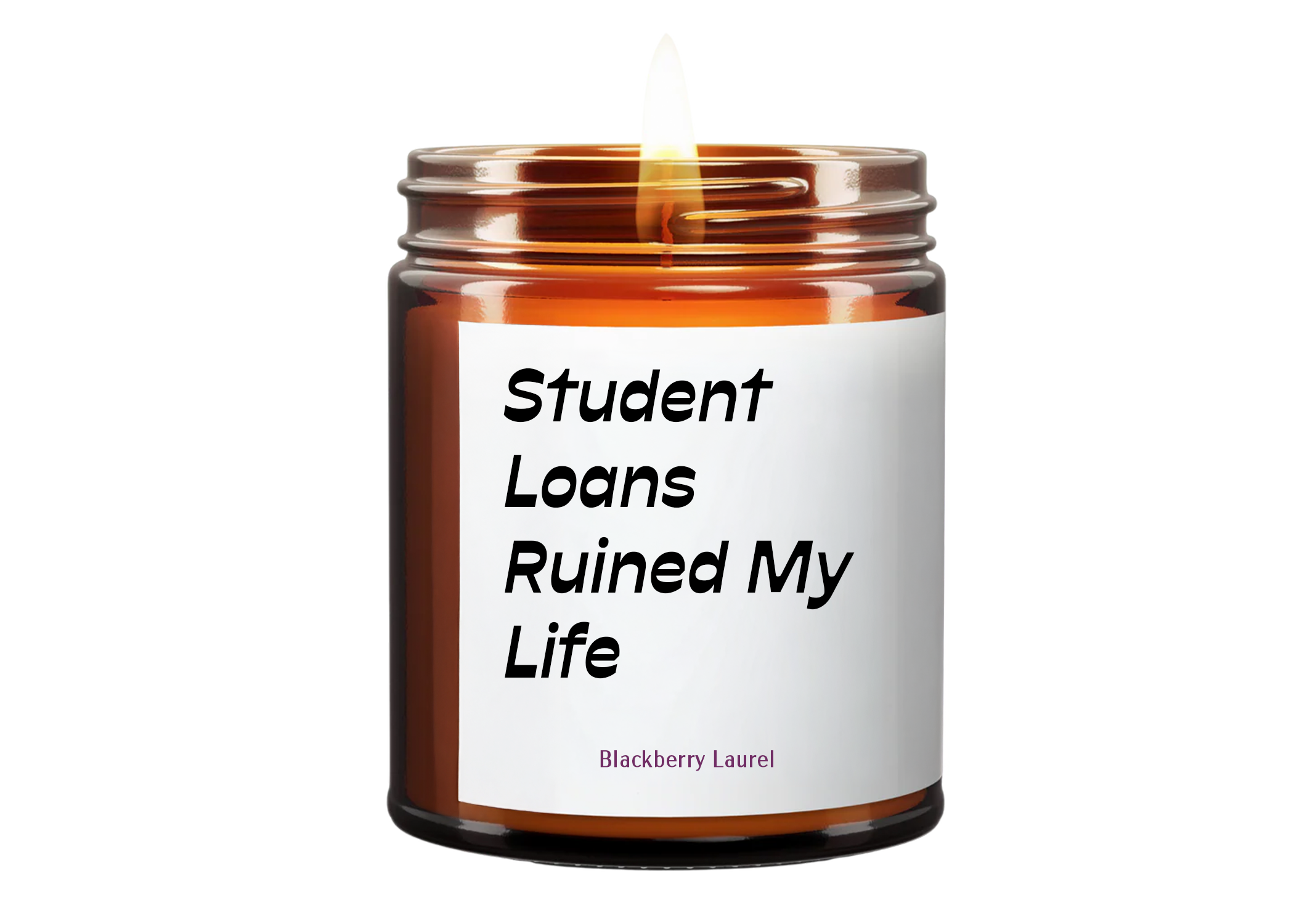 Student Loans Ruined My Life (BLACKBERRY LAUREL) Soy Wax Candle